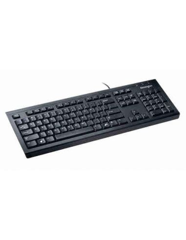 Teclado ValuKeyboard USB/PS2