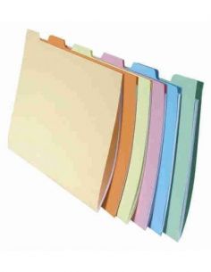 Subcarpetas con pestañas para clasificación