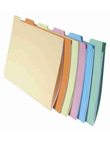 Subcarpetas con pestañas para clasificación