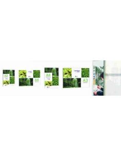 Expositor mural Premium con adhesivo