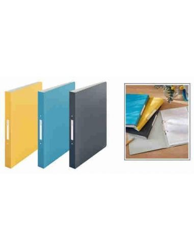 Carpeta de 2 anillas Leitz Cosy