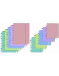 Cuaderno de discos Ingeniox pastel 80 hojas