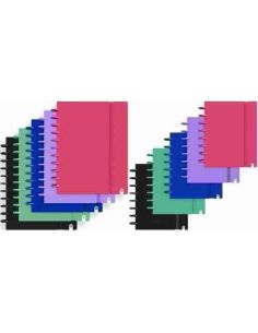 Cuaderno de discos Ingeniox intenso 80 hojas