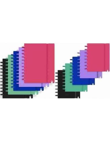 Cuaderno de discos Ingeniox intenso 80 hojas