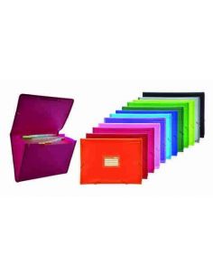 Clasificador 12 divisiones Colorline