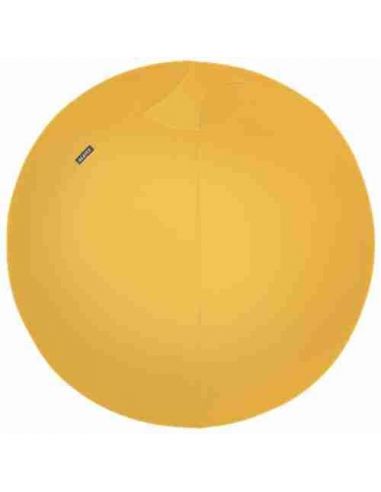 Balón de asiento Leitz Ergo Cosy Active